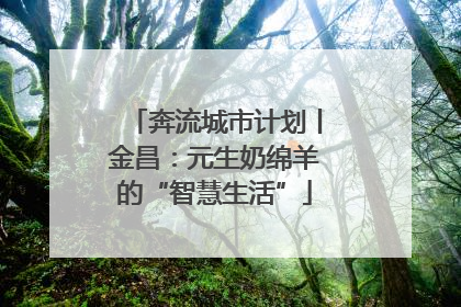 奔流城市计划丨金昌：元生奶绵羊的“智慧生活”
