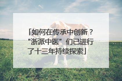 如何在传承中创新？“浙派中医”们已进行了十三年持续探索