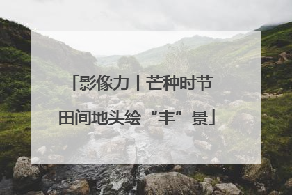 影像力丨芒种时节 田间地头绘“丰”景
