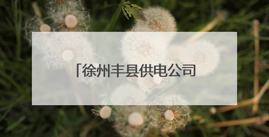 徐州丰县供电公司：以练促防 筑牢物资防汛“安全堤”