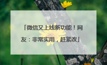 微信又上线新功能！网友：非常实用，赶紧改
