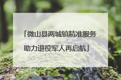 微山县两城镇精准服务助力退役军人再启航