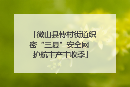 微山县傅村街道织密“三夏”安全网 护航丰产丰收季