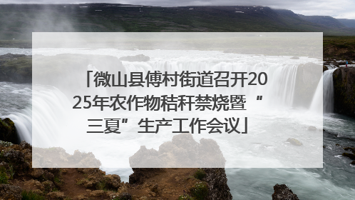 微山县傅村街道召开2025年农作物秸秆禁烧暨“三夏”生产工作会议