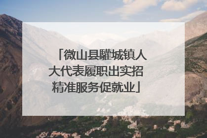 微山县驩城镇人大代表履职出实招精准服务促就业