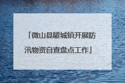 微山县驩城镇开展防汛物资自查盘点工作