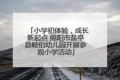 小学初体验，成长新起点 绵阳市盐亭县岐伯幼儿园开展参观小学活动