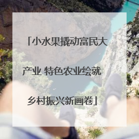小水果撬动富民大产业 特色农业绘就乡村振兴新画卷