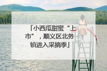 小西瓜甜蜜“上市”，顺义区北务镇进入采摘季