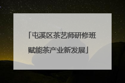 屯溪区茶艺师研修班赋能茶产业新发展