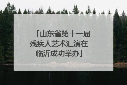 山东省第十一届残疾人艺术汇演在临沂成功举办