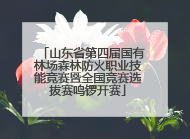山东省第四届国有林场森林防火职业技能竞赛暨全国竞赛选拔赛鸣锣开赛