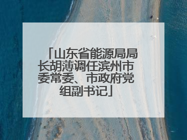 山东省能源局局长胡薄调任滨州市委常委、市政府党组副书记