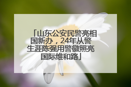 山东公安民警亮相国新办，24年从警生涯陈强用警徽照亮国际维和路