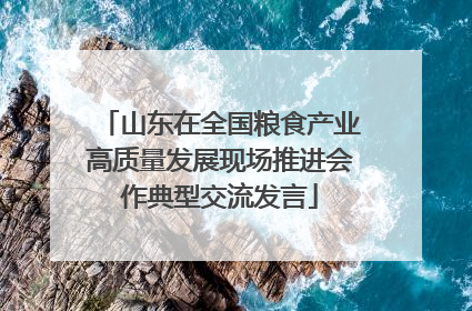 山东在全国粮食产业高质量发展现场推进会作典型交流发言