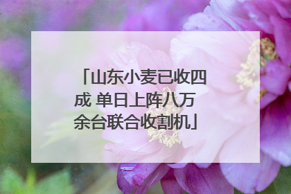山东小麦已收四成 单日上阵八万余台联合收割机