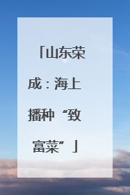 山东荣成：海上播种“致富菜”