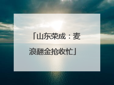 山东荣成：麦浪翻金抢收忙