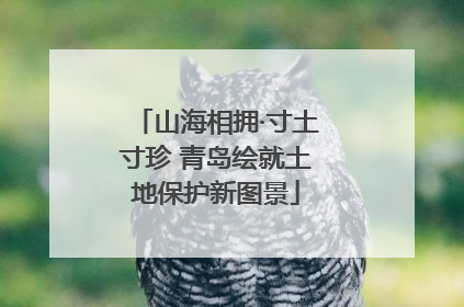 山海相拥·寸土寸珍 青岛绘就土地保护新图景
