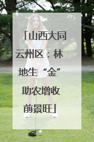 山西大同云州区：林地生“金” 助农增收前景旺
