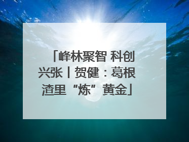 峰林聚智 科创兴张丨贺健：葛根渣里“炼”黄金