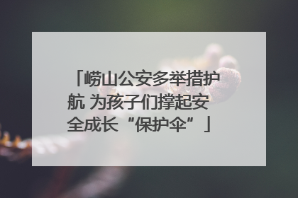 崂山公安多举措护航 为孩子们撑起安全成长“保护伞”