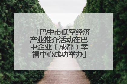 巴中市低空经济产业推介活动在巴中企业（成都）幸福中心成功举办