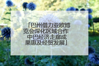 巴州借力亚欧博览会深化区域合作 中巴经济走廊成果惠及经贸发展