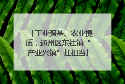 工业强基、农业提质，通州区东社镇“产业兴镇”扛担当