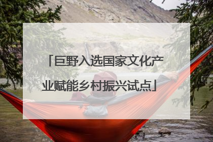 巨野入选国家文化产业赋能乡村振兴试点