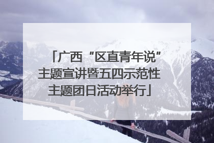 广西“区直青年说”主题宣讲暨五四示范性主题团日活动举行