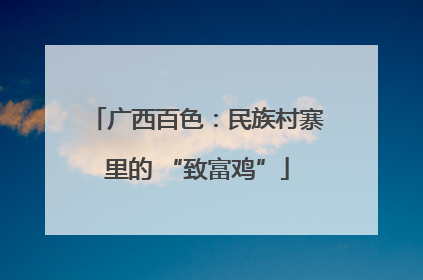 广西百色：民族村寨里的 “致富鸡”