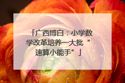 广西博白：小学数学改革培养一大批“速算小能手”