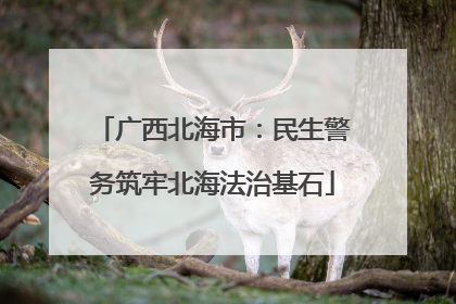 广西北海市：民生警务筑牢北海法治基石