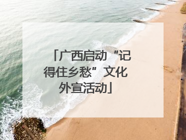广西启动“记得住乡愁”文化外宣活动