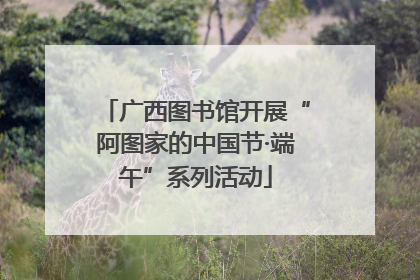 广西图书馆开展“阿图家的中国节·端午”系列活动