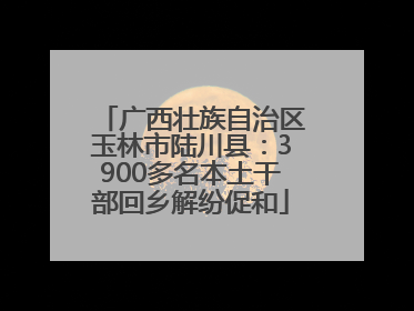 广西壮族自治区玉林市陆川县：3900多名本土干部回乡解纷促和