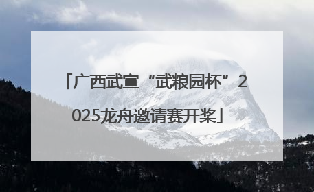 广西武宣“武粮园杯”2025龙舟邀请赛开桨