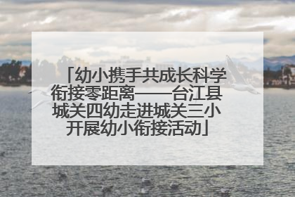幼小携手共成长科学衔接零距离——台江县城关四幼走进城关三小开展幼小衔接活动