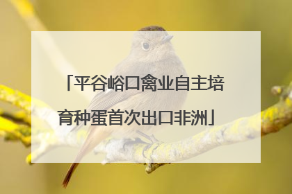平谷峪口禽业自主培育种蛋首次出口非洲