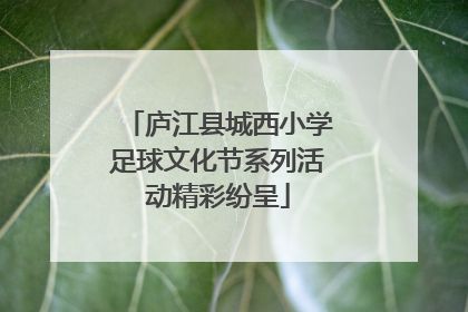 庐江县城西小学足球文化节系列活动精彩纷呈