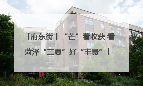 府东街丨“芒”着收获 看菏泽“三夏”好“丰景”