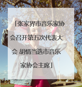 张家界市音乐家协会召开第五次代表大会 胡情当选市音乐家协会主席