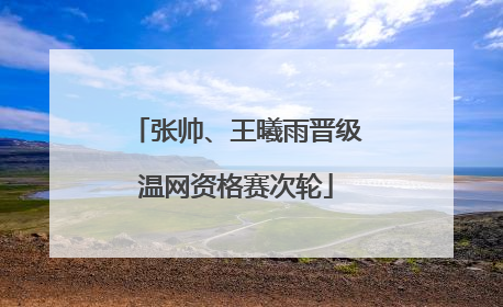 张帅、王曦雨晋级温网资格赛次轮