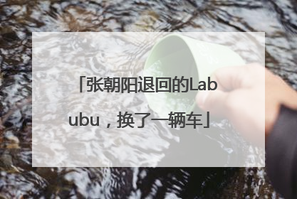 张朝阳退回的Labubu，换了一辆车