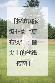 探访国家级非遗“夏布绣”：指尖上的丝线传奇