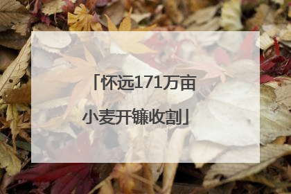 怀远171万亩小麦开镰收割