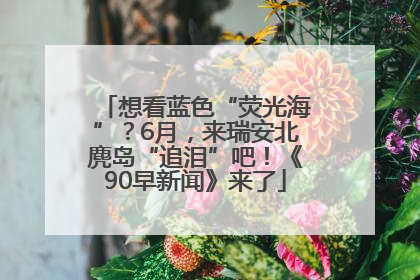想看蓝色“荧光海”？6月，来瑞安北麂岛“追泪”吧！《90早新闻》来了