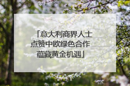 意大利商界人士点赞中欧绿色合作蕴藏黄金机遇