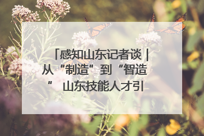 感知山东记者谈｜从“制造”到“智造” 山东技能人才引领产业升级